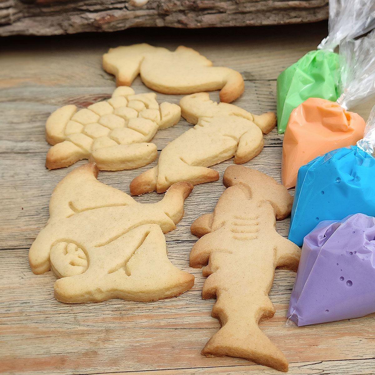 Animalitos de Galápagos